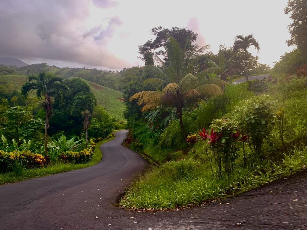 Winding road through tropical hills in Dominica
