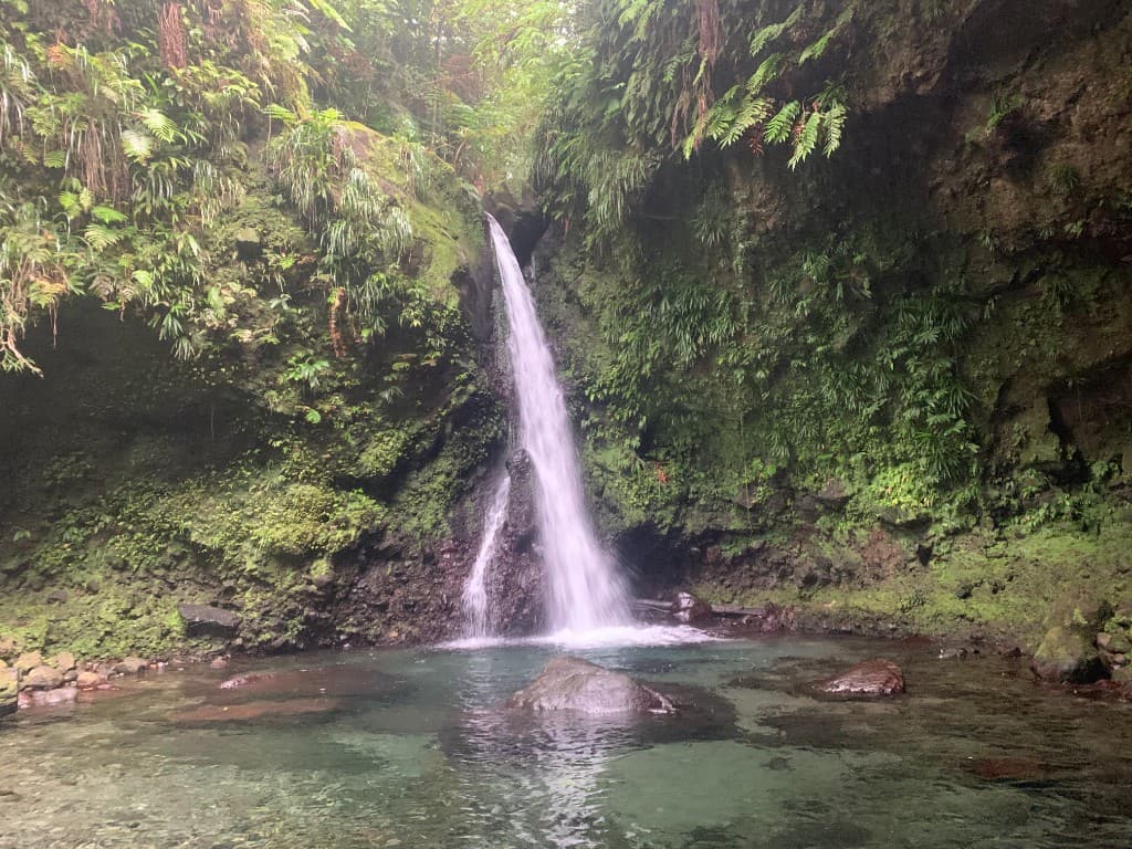Waterfall flowing into a clear pool in the Dominica rainforest