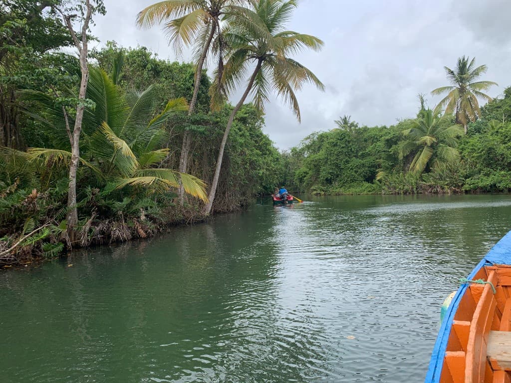 Boat on a river surrounded by tropical forest in Dominica