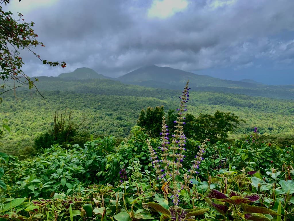Mountain valley and forest under clouds in Dominica