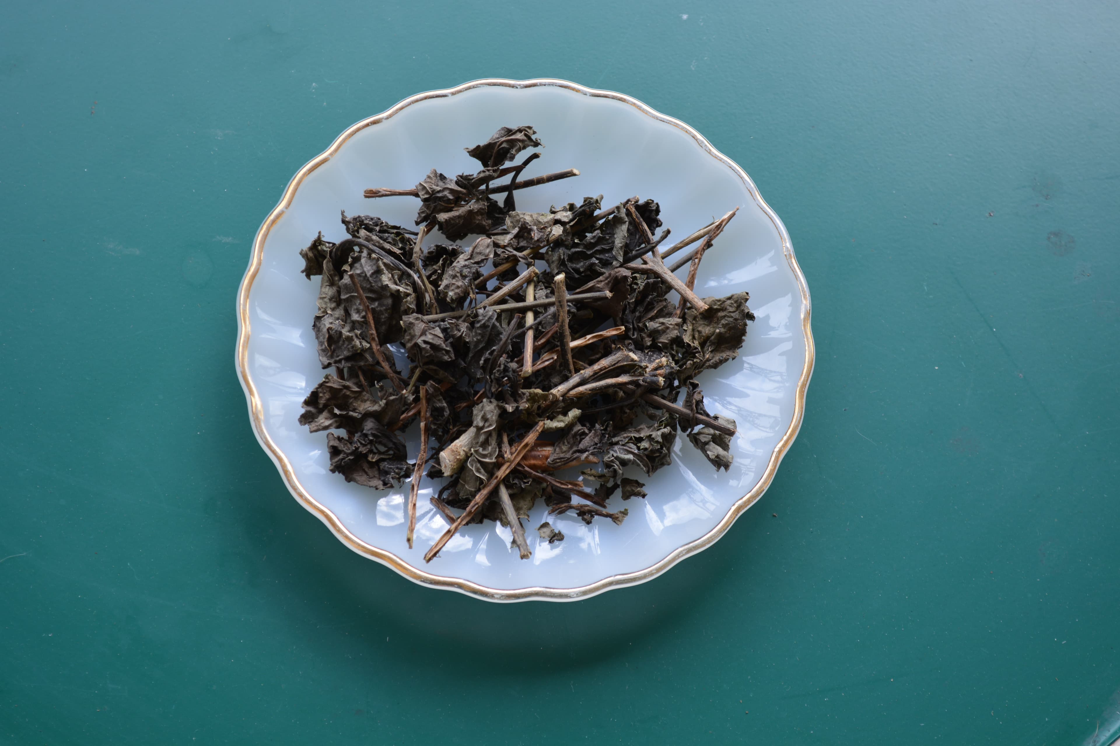 Blue vervain