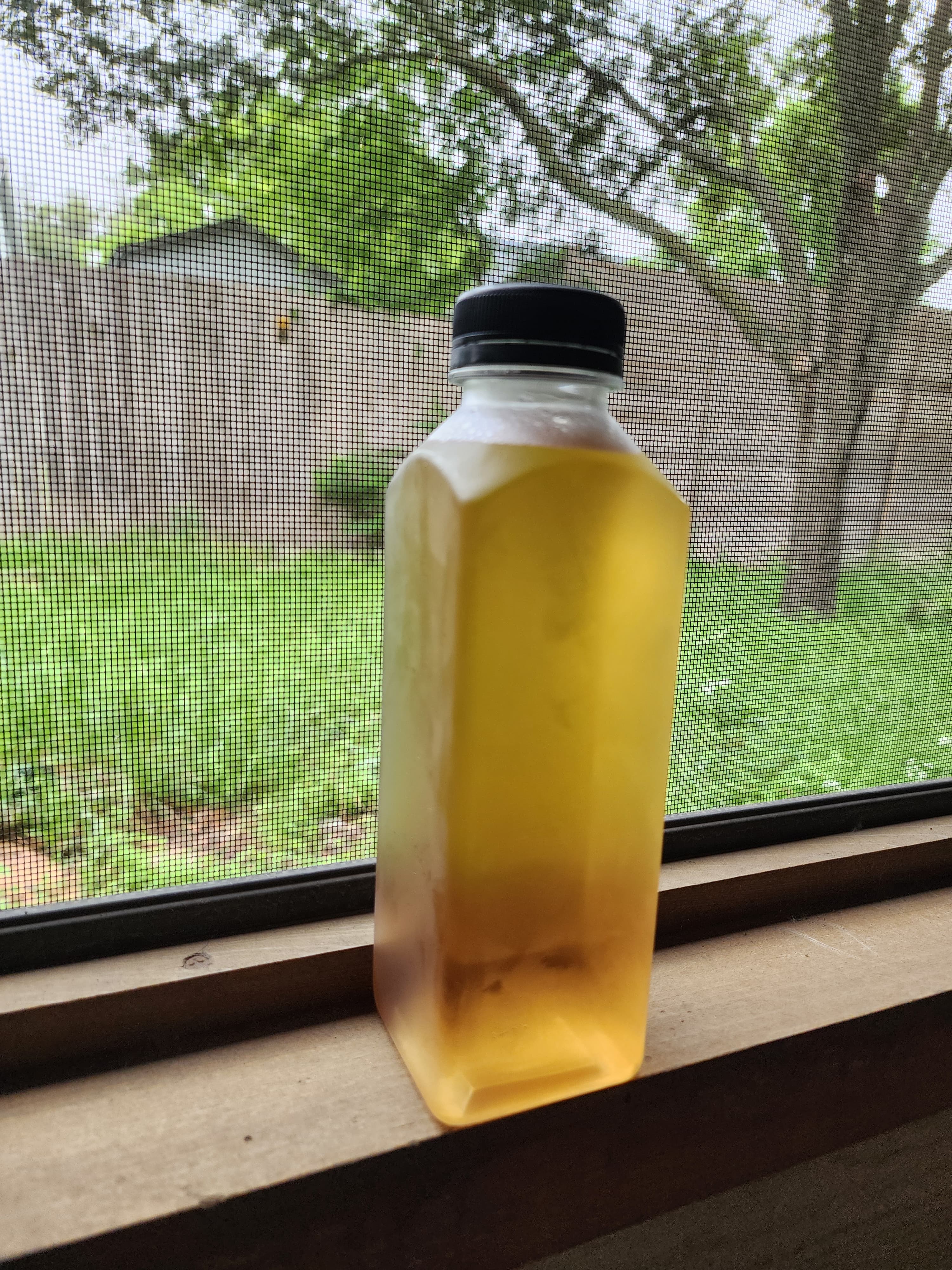 Bottled herbal teas from Iron Lion apothecary
