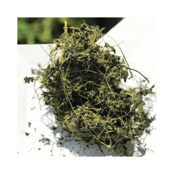 Cerasee herb