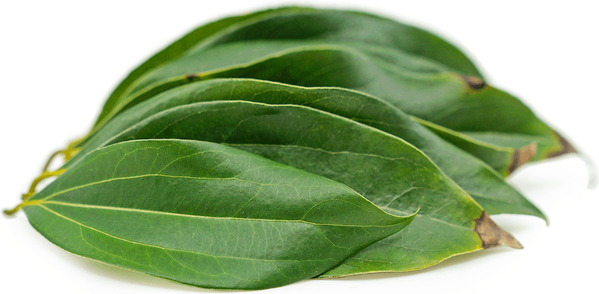 Cinnamon leaves